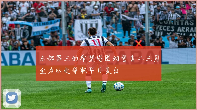 东部第三的希望塔图姆誓言二三月全力以赴争取早日复出